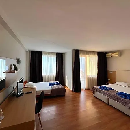 Hotel Family Milev 2*