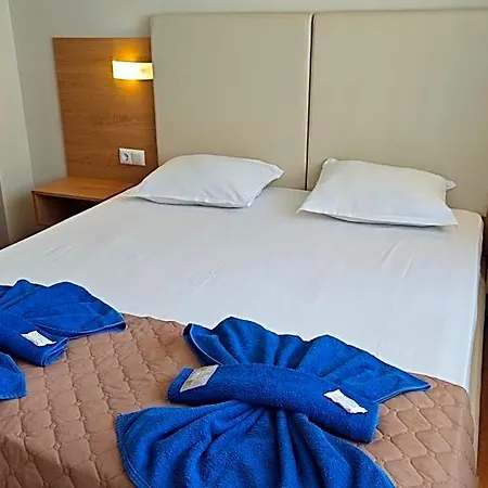 Family Milev Hotel 2*